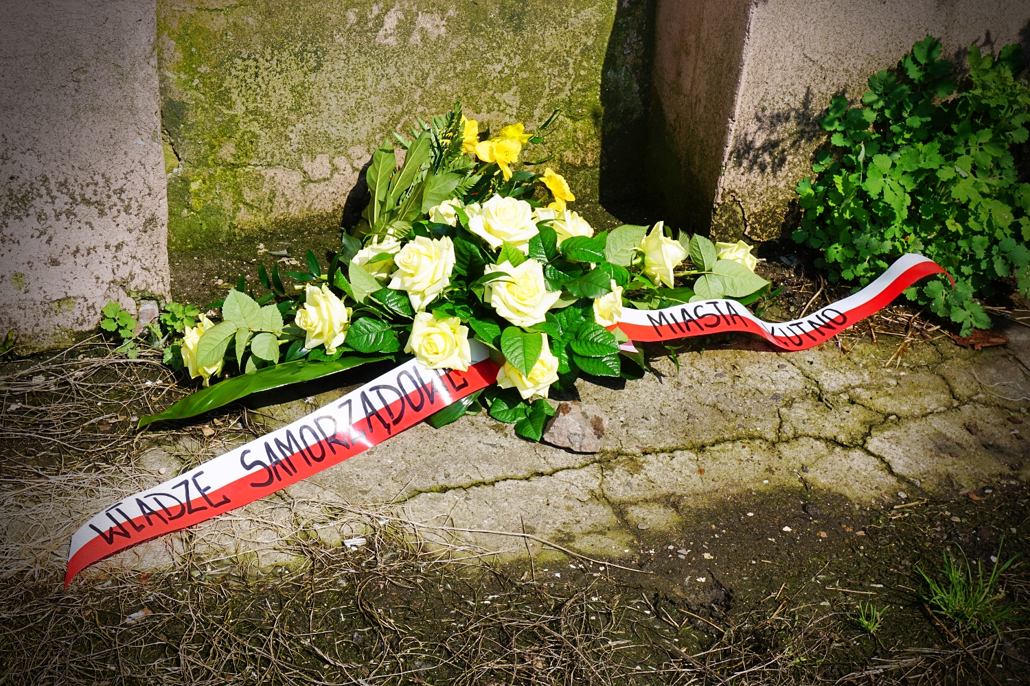 Na zdjęciu widać kwiaty przy tablicy pamiątkowej poświęconej ofiarom holocaustu