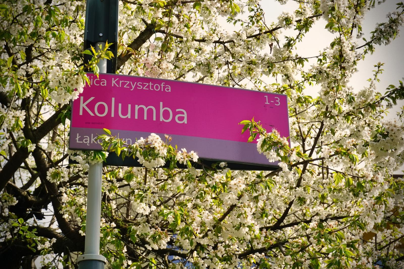 Kolumba