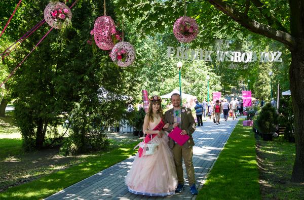 Photo from Picnic among the roses