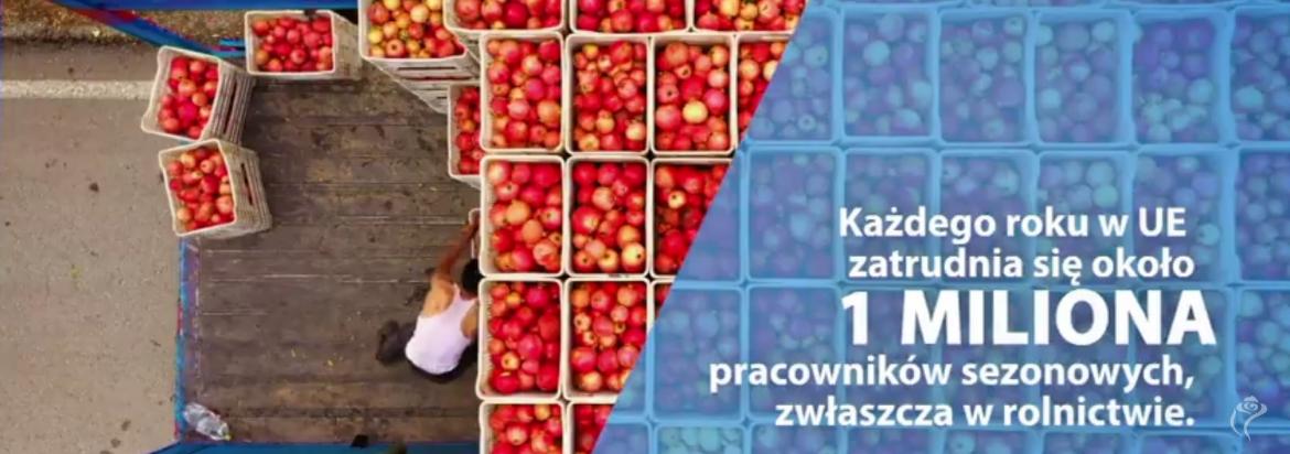 Każdego roku w UE zatrudnia się około 1 miliona pracowników sezonowych, zwłaszcza w rolnictwie