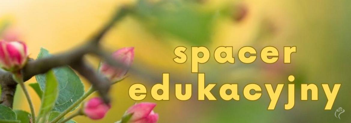 Grafika spacer edukacyjny