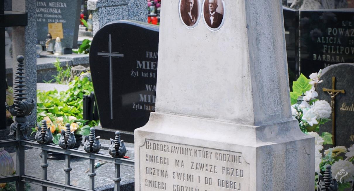 Na zdjęciu widać pomnik A.Troczewskiego na cmentarzu