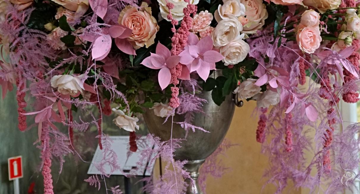 41. wystawa Royal Rose 2025