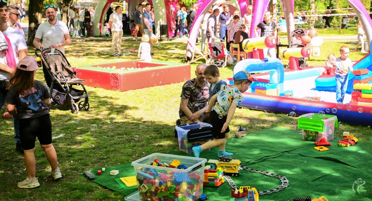 Piknik Organizacji Pozarządowych 2026