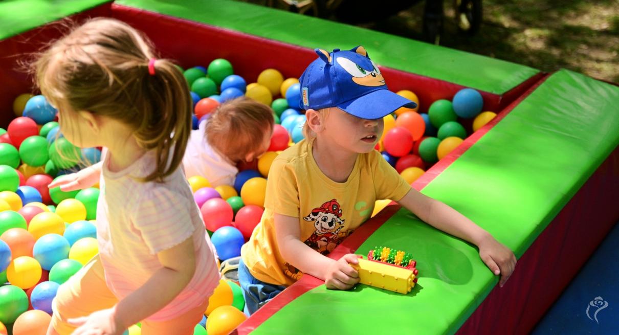 Piknik Organizacji Pozarządowych 2026