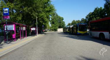 Pierwsze elektryczne autobusy w Kutnie