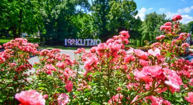 Jedno ze zdjęć róż w Kutnie w obiektywie Łukasza Stasiaka
