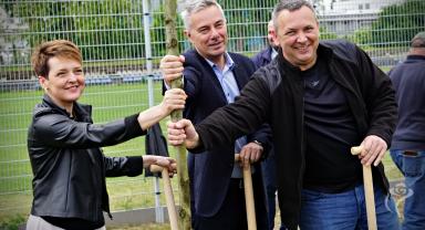 35 drzew na 35-lecie samorządu
