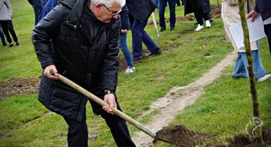 35 drzew na 35-lecie samorządu