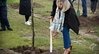 35 drzew na 35-lecie samorządu