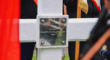 81. rocznica wybuchu powstania warszawskiego 