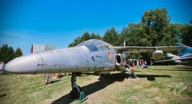 Piknik Wojskowy z okazji Święta Wojska Polskiego - 15.08.2025