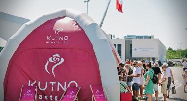 Piknik Wojskowy z okazji Święta Wojska Polskiego - 15.08.2025