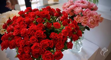 41. wystawa Royal Rose 2025