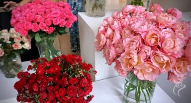 41. wystawa Royal Rose 2025