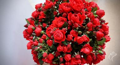 41. wystawa Royal Rose 2025