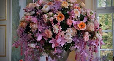 41. wystawa Royal Rose 2025
