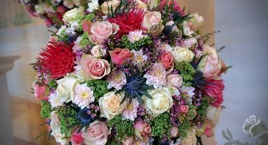 41. wystawa Royal Rose 2025