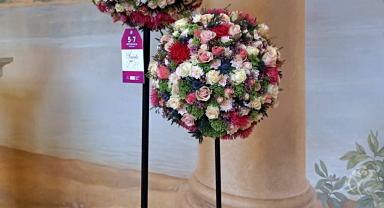 41. wystawa Royal Rose 2025
