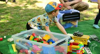 Piknik Organizacji Pozarządowych 2026
