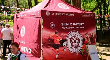 Piknik Organizacji Pozarządowych 2026