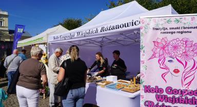 Regionalne obchody Światowych Dni Turystyki