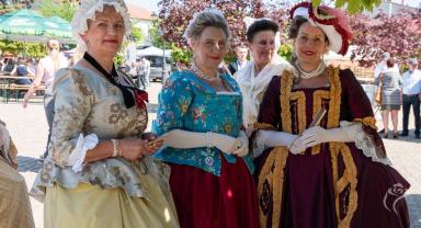 Festiwal Saski 2026