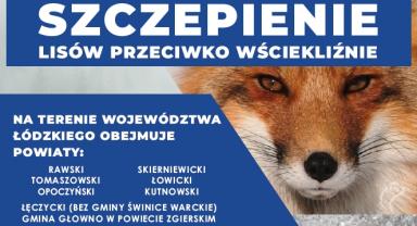 grafika z lisem