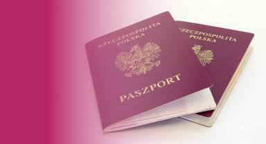 grafika z paszportem przykładowa