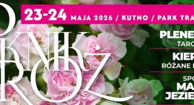 Plakat pikniku