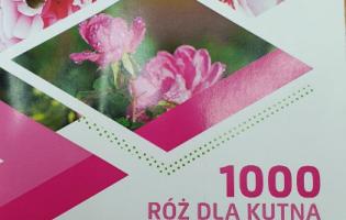 Podsumowanie projektu Kutnowskiego Budżetu Obywatelskiego "1000 róż dla Kutna"