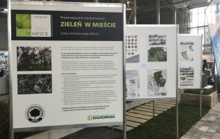 Konkurs "Zieleń w mieście" rozstrzygnięty!