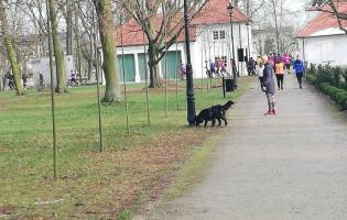 Dzień kobiet na sportowo