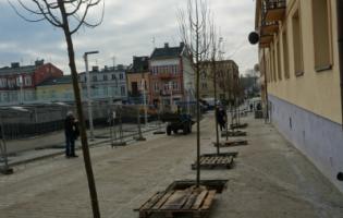 Nasadzenia zieleni na Placu Wolności i Rynku Zduńskim