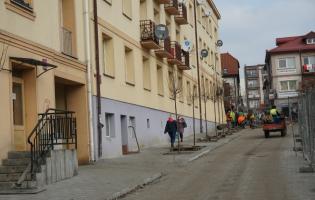 Nasadzenia zieleni na Placu Wolności i Rynku Zduńskim