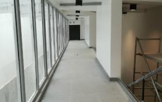 Nasadzenia zieleni na Placu Wolności i Rynku Zduńskim