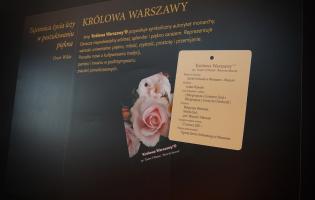 Na zdjęciu widać element ekspozycji pod tytułem Portret Róży
