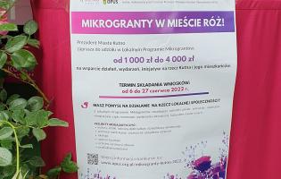 Plenerowe stoisko urzędu miasta podczas Pikniku Wśród Róż