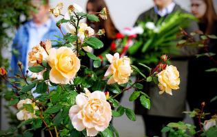 94. rocznica śmierci Antoniego Troczewskiego