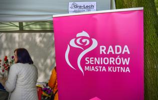 Piknik w Parku Traugutta 3 maja