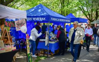Piknik w Parku Traugutta 3 maja
