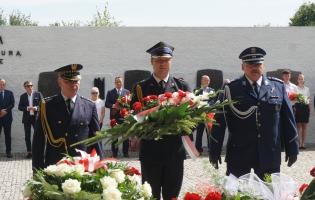 Hołd poległym