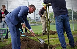 35 drzew na 35-lecie samorządu