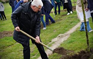 35 drzew na 35-lecie samorządu