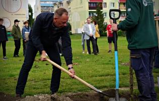35 drzew na 35-lecie samorządu
