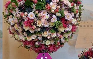 41. wystawa Royal Rose 2025