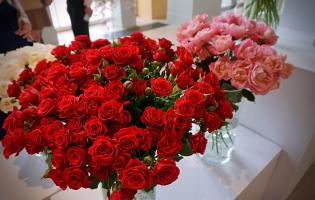 41. wystawa Royal Rose 2025