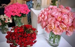 41. wystawa Royal Rose 2025