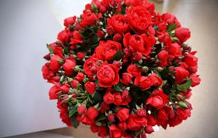 41. wystawa Royal Rose 2025