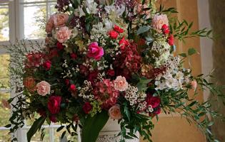 41. wystawa Royal Rose 2025